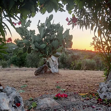 Trullo Tre Coni Prázdninový dům Cisternino