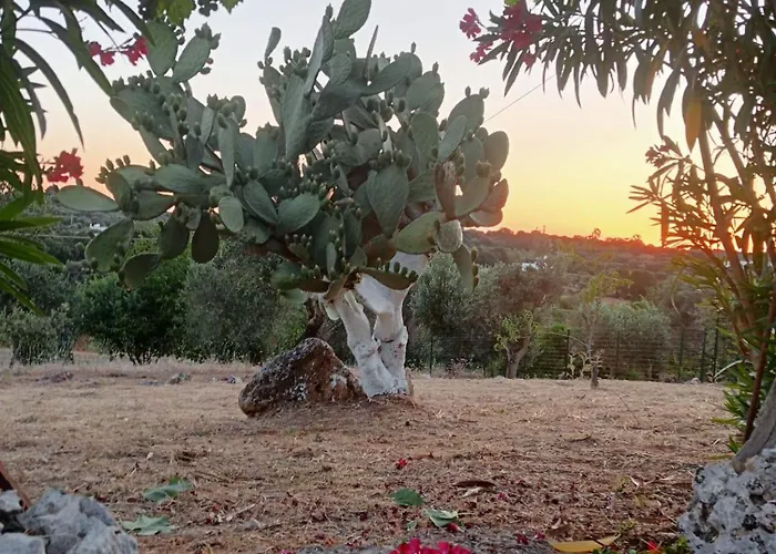 Trullo Tre Coni Сasa de vacaciones Cisternino